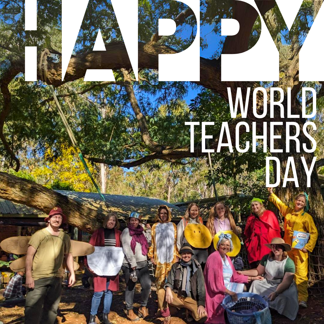 World Teachers' Day 2024 How to Honour and Support Their Wellbeing